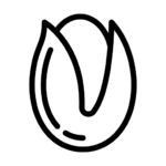 Pista